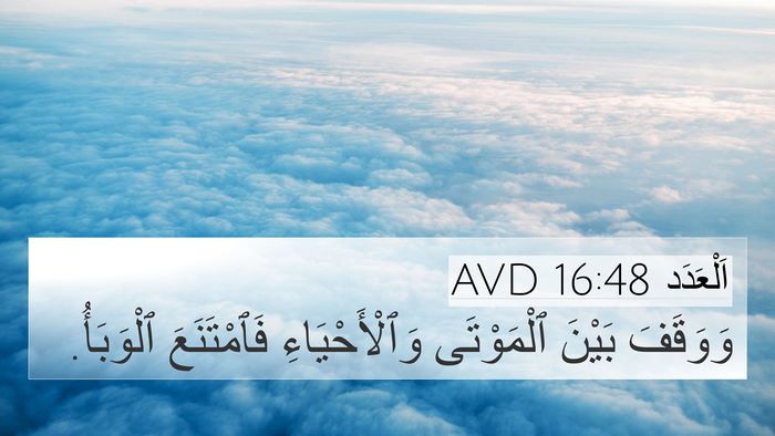 اَلْعَدَد 16:48 AVD Bible Verse Image