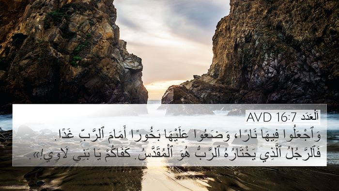 اَلْعَدَد 16:7 AVD Bible Verse Image