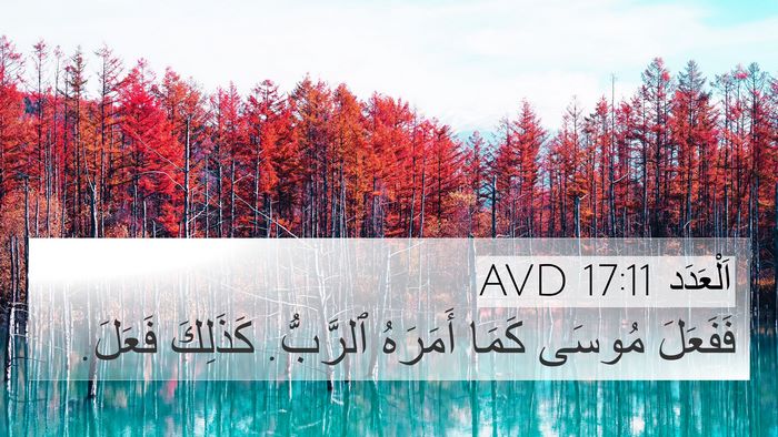 اَلْعَدَد 17:11 AVD 4K Wallpaper - فَفَعَلَ مُوسَى كَمَا - 4K Wallpaper Bible Verse