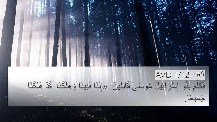 اَلْعَدَد 17:12 AVD Bible Verse Image