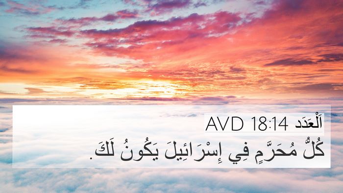 اَلْعَدَد 18:14 AVD Bible Verse Image