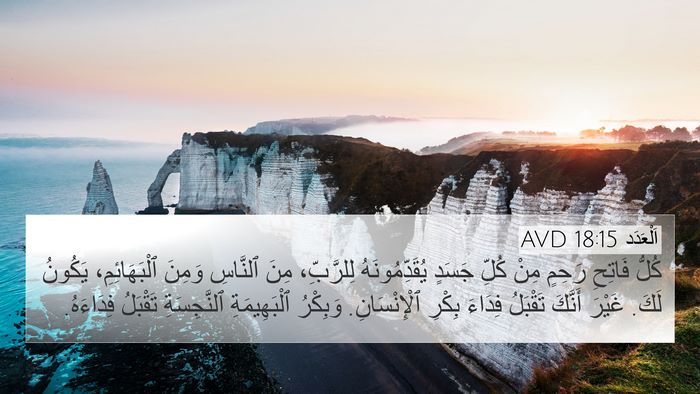 اَلْعَدَد 18:15 AVD Bible Verse Image