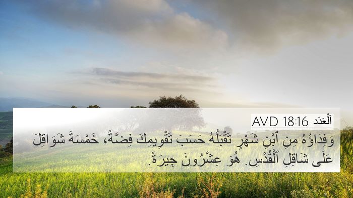 اَلْعَدَد 18:16 AVD Bible Verse Image