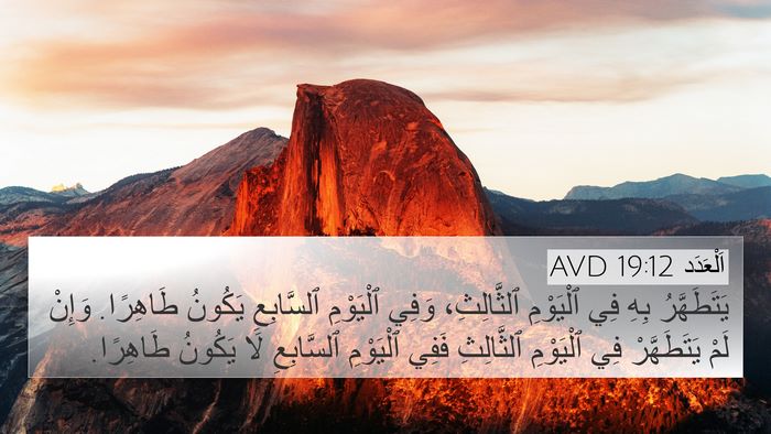 اَلْعَدَد 19:12 AVD Bible Verse Image