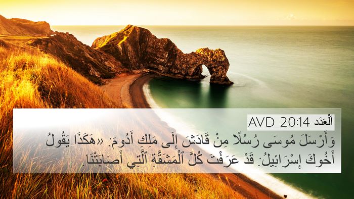 اَلْعَدَد 20:14 AVD Bible Verse Image
