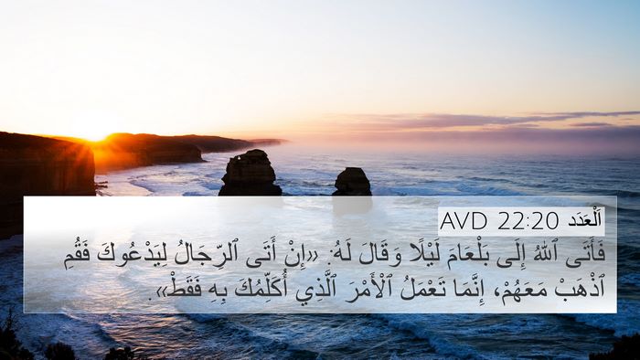 اَلْعَدَد 22:20 AVD Bible Verse Image