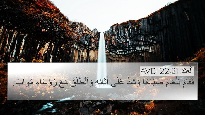 اَلْعَدَد 22:21 AVD Bible Verse Image