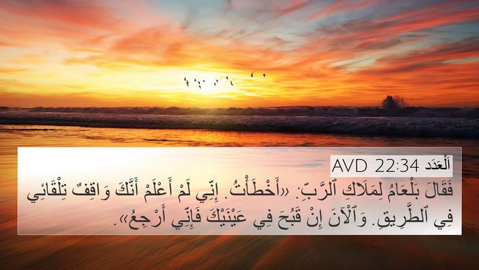 اَلْعَدَد 22:34 AVD Bible Verse Image