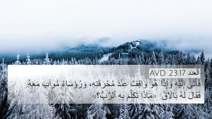 اَلْعَدَد 23:17 AVD 4K Wallpaper - فَأَتَى إِلَيْهِ وَإِذَا - 4K Wallpaper Bible Verse