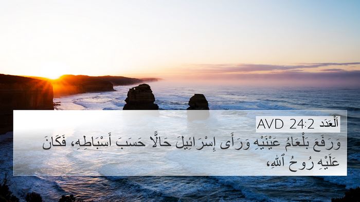 اَلْعَدَد 24:2 AVD Bible Verse Image