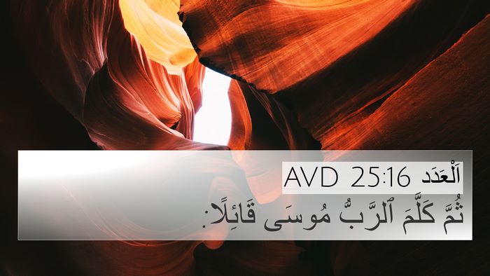 اَلْعَدَد 25:16 AVD 4K Wallpaper - ثُمَّ كَلَّمَ ٱلرَّبُّ - 4K Wallpaper Bible Verse