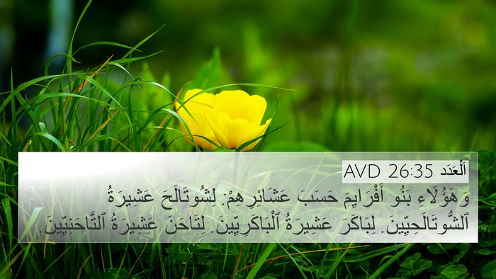 اَلْعَدَد 26:35 AVD Bible Verse Image