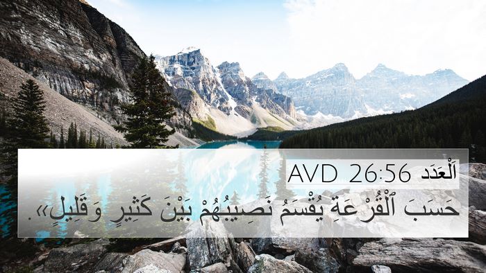 اَلْعَدَد 26:56 AVD Bible Verse Image