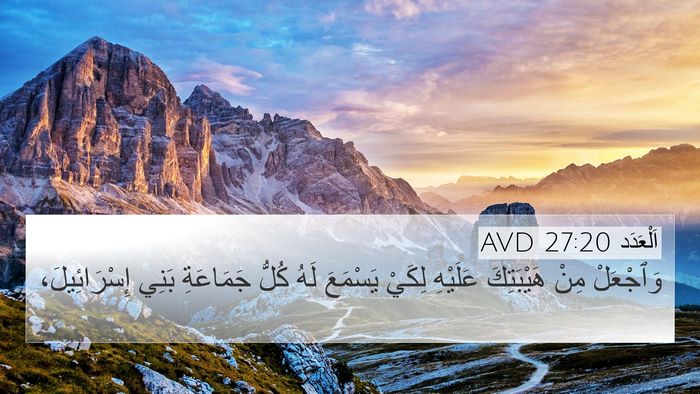 اَلْعَدَد 27:20 AVD Bible Verse Image