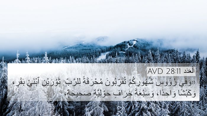 اَلْعَدَد 28:11 AVD Bible Verse Image