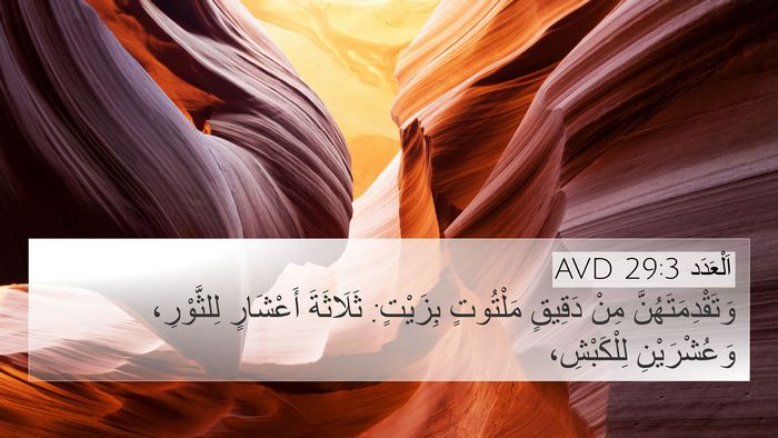 اَلْعَدَد 29:3 AVD 4K Wallpaper - وَتَقْدِمَتَهُنَّ مِنْ - 4K Wallpaper Bible Verse