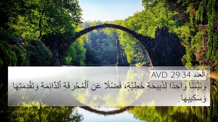 اَلْعَدَد 29:34 AVD Bible Verse Image