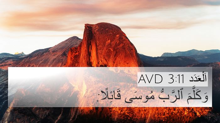اَلْعَدَد 3:11 AVD 4K Wallpaper - وَكَلَّمَ ٱلرَّبُّ مُوسَى - 4K Wallpaper Bible Verse