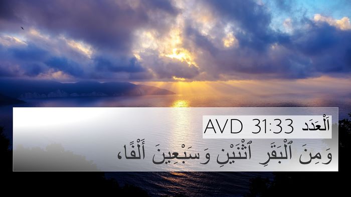 اَلْعَدَد 31:33 AVD 4K Wallpaper - وَمِنَ ٱلْبَقَرِ - 4K Wallpaper Bible Verse