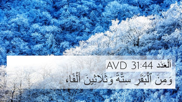 اَلْعَدَد 31:44 AVD 4K Wallpaper - وَمِنَ ٱلْبَقَرِ سِتَّةً - 4K Wallpaper Bible Verse