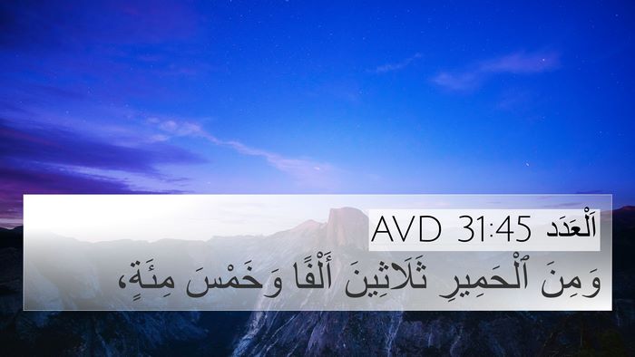 اَلْعَدَد 31:45 AVD 4K Wallpaper - وَمِنَ ٱلْحَمِيرِ - 4K Wallpaper Bible Verse
