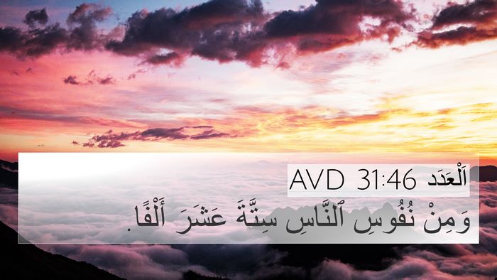 اَلْعَدَد 31:46 AVD 4K Wallpaper - وَمِنْ نُفُوسِ ٱلنَّاسِ - 4K Wallpaper Bible Verse