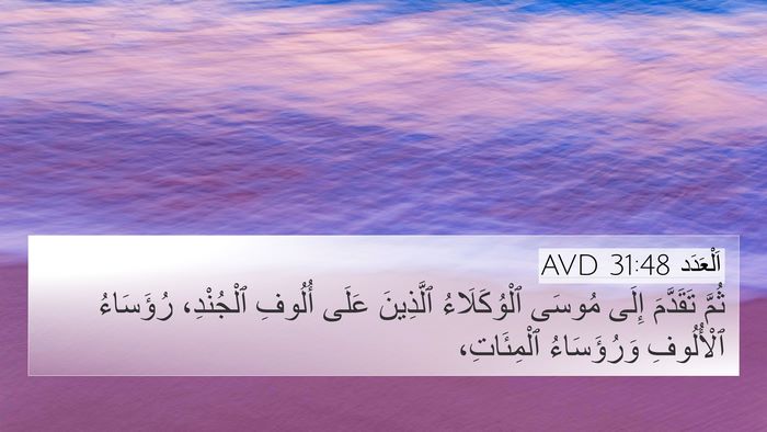 اَلْعَدَد 31:48 AVD Bible Verse Image