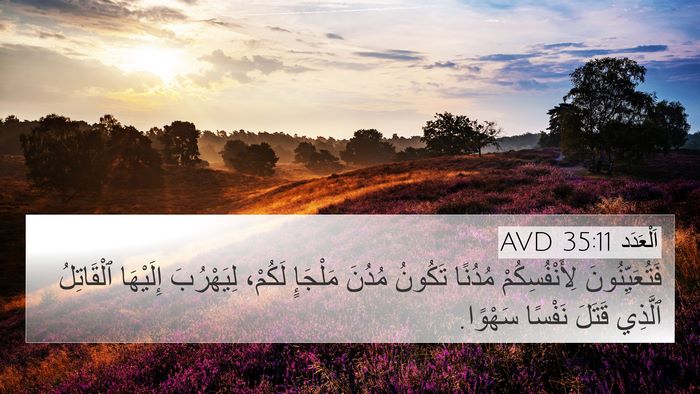 اَلْعَدَد 35:11 AVD Bible Verse Image