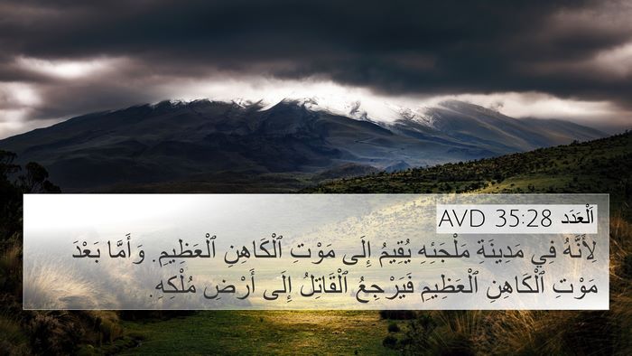 اَلْعَدَد 35:28 AVD Bible Verse Image