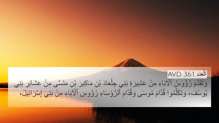اَلْعَدَد 36:1 AVD Bible Verse Image