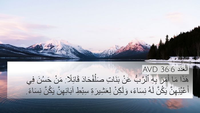 اَلْعَدَد 36:6 AVD Bible Verse Image