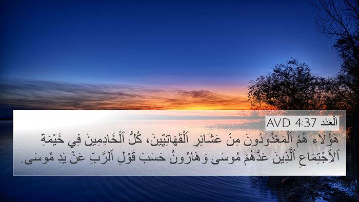 اَلْعَدَد 4:37 AVD Bible Verse Image