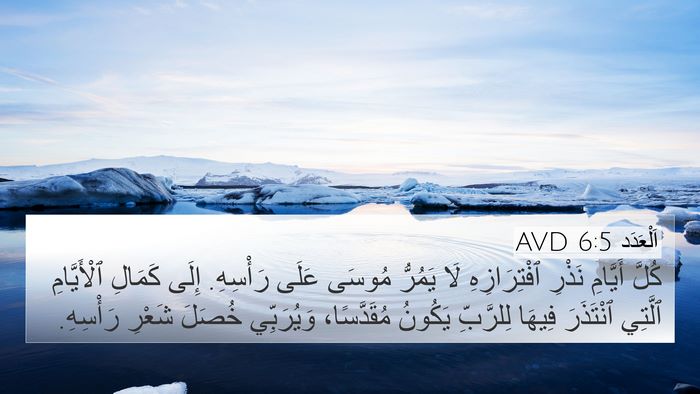 اَلْعَدَد 6:5 AVD Bible Verse Image