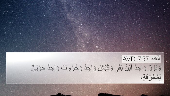 اَلْعَدَد 7:57 AVD 4K Wallpaper - وَثَوْرٌ وَاحِدٌ ٱبْنُ - 4K Wallpaper Bible Verse