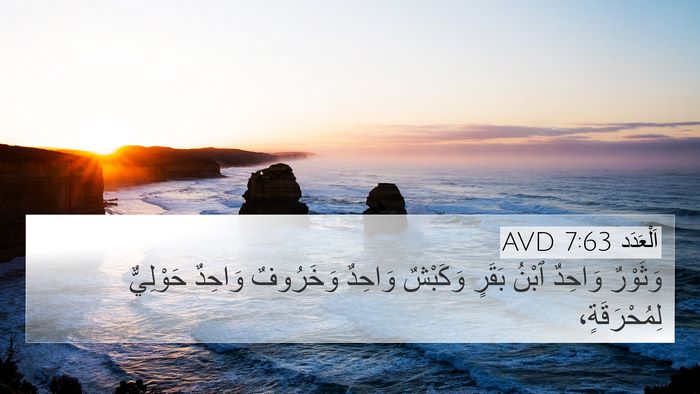 اَلْعَدَد 7:63 AVD 4K Wallpaper - وَثَوْرٌ وَاحِدٌ ٱبْنُ - 4K Wallpaper Bible Verse