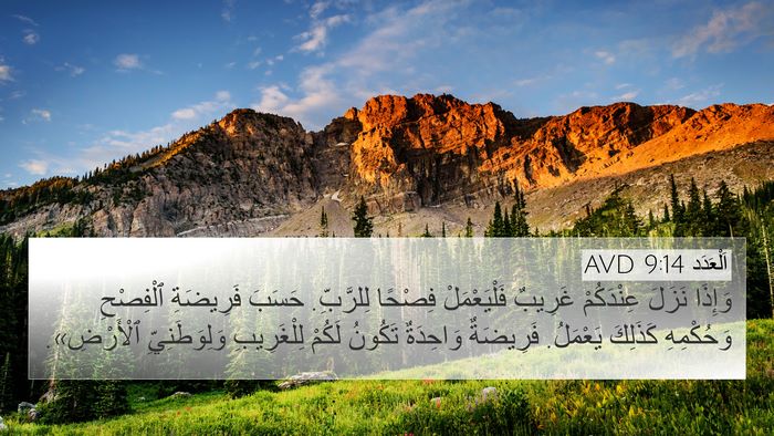 اَلْعَدَد 9:14 AVD Bible Verse Image