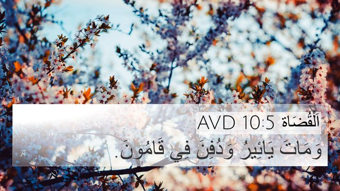 اَلْقُضَاة 10:5 AVD Bible Verse Image