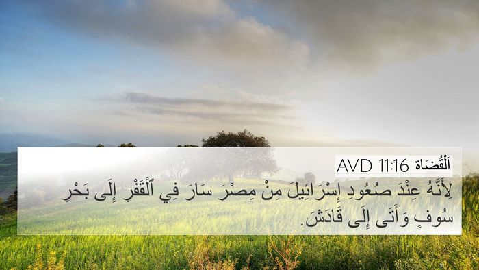 اَلْقُضَاة 11:16 AVD Bible Verse Image