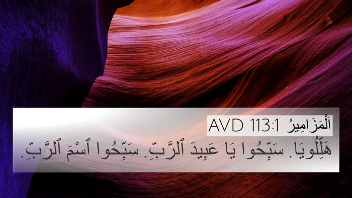اَلْمَزَامِيرُ 113:1 AVD 4K Wallpaper - هَلِّلُويَا. سَبِّحُوا يَا - 4K Wallpaper Bible Verse