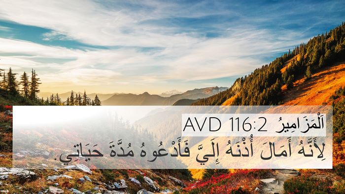 اَلْمَزَامِيرُ 116:2 AVD Bible Verse Image