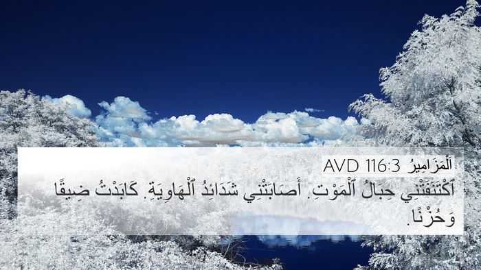 اَلْمَزَامِيرُ 116:3 AVD Bible Verse Image