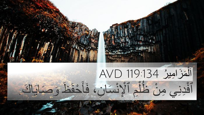 اَلْمَزَامِيرُ 119:134 AVD Bible Verse Image