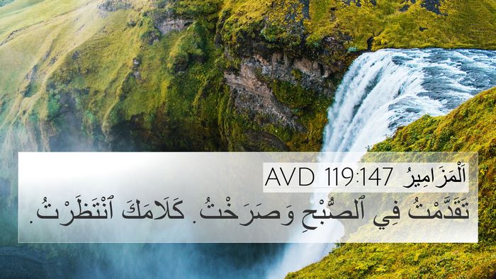 اَلْمَزَامِيرُ 119:147 AVD Bible Verse Image
