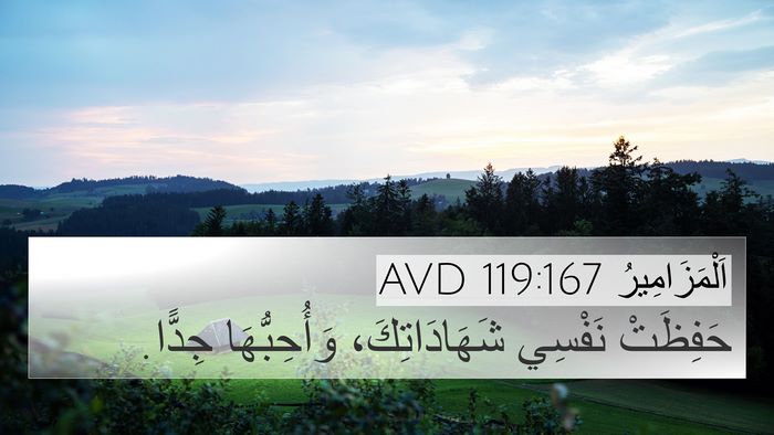 اَلْمَزَامِيرُ 119:167 AVD Bible Verse Image