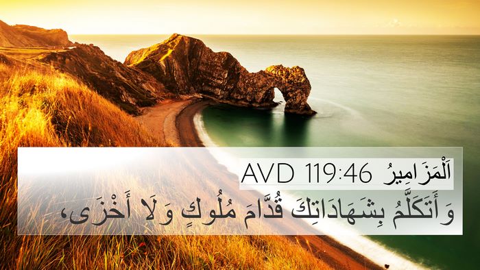 اَلْمَزَامِيرُ 119:46 AVD Bible Verse Image