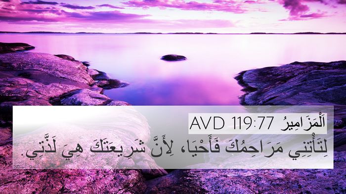 اَلْمَزَامِيرُ 119:77 AVD Bible Verse Image