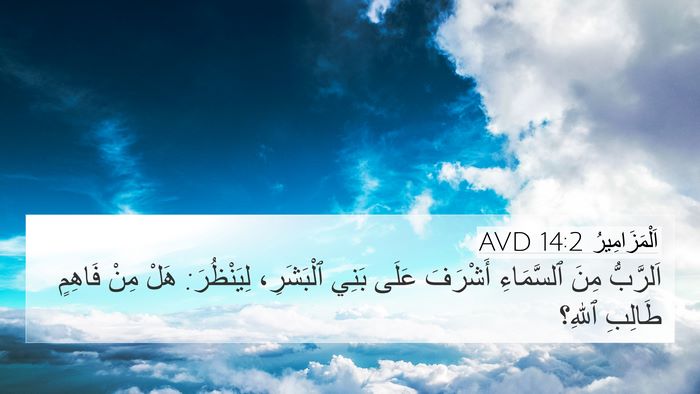 اَلْمَزَامِيرُ 14:2 AVD Bible Verse Image
