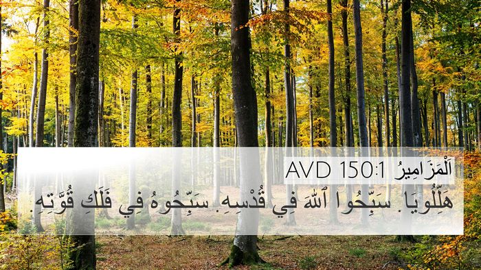 اَلْمَزَامِيرُ 150:1 AVD Bible Verse Image