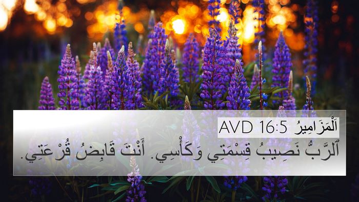 اَلْمَزَامِيرُ 16:5 AVD Bible Verse Image