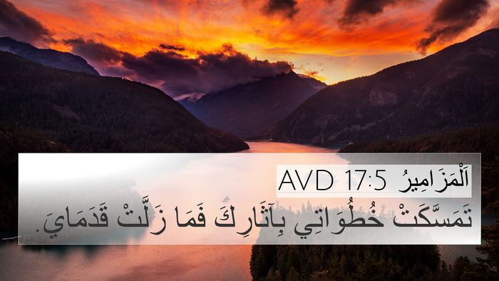 اَلْمَزَامِيرُ 17:5 AVD Bible Verse Image